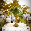 A Safarilicious Baptism 